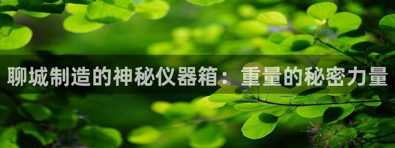门徒娱乐官网：聊城制造的神秘仪器箱：重量的秘密力量