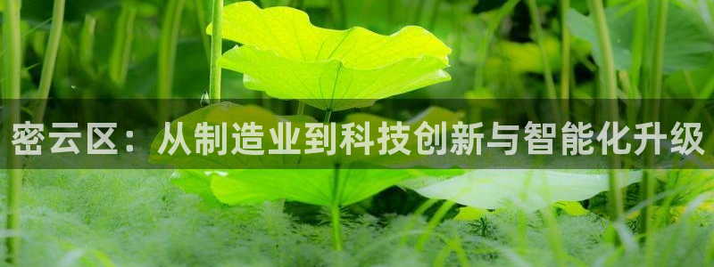 门徒娱乐平台介绍图片：密云区：从制造业到科技创新与智能化升级