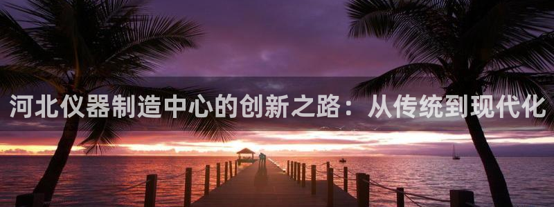 娱乐门徒电影海报：河北仪器制造中心的创新之路：从传统到现代化