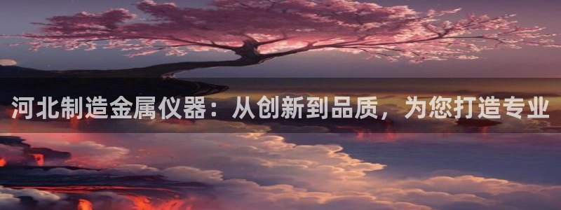 娱乐门徒最佳导演：河北制造金属仪器：从创新到品质，为您打造专