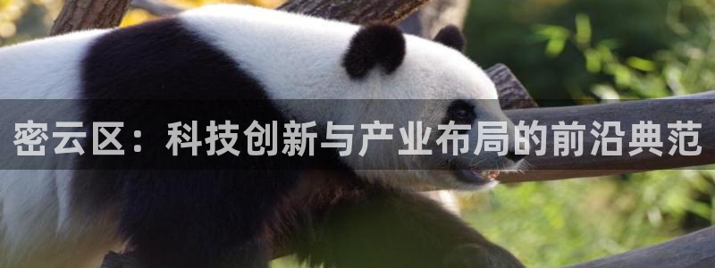 门徒娱乐计划在线观看：密云区：科技创新与产业布局的前沿典范