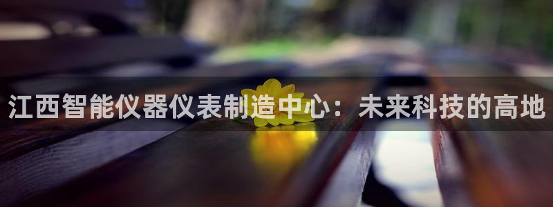 门徒娱乐链接是什么东西：江西智能仪器仪表制造中心：未来科技的