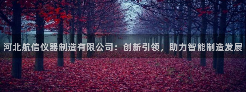 门徒娱乐总代理怎么样：河北航信仪器制造有限公司：创新引领，助