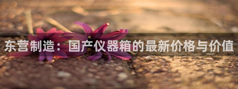 门徒娱乐官方：东营制造：国产仪器箱的最新价格与价值