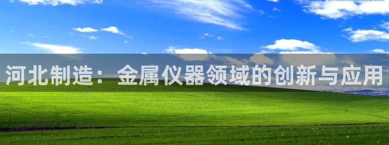 蓝狮和门徒娱乐哪个好玩：河北制造：金属仪器领域的创新与应用