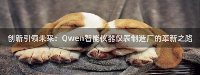 门徒娱乐他49403：创新引领未来：Qwen智能仪器仪表制造