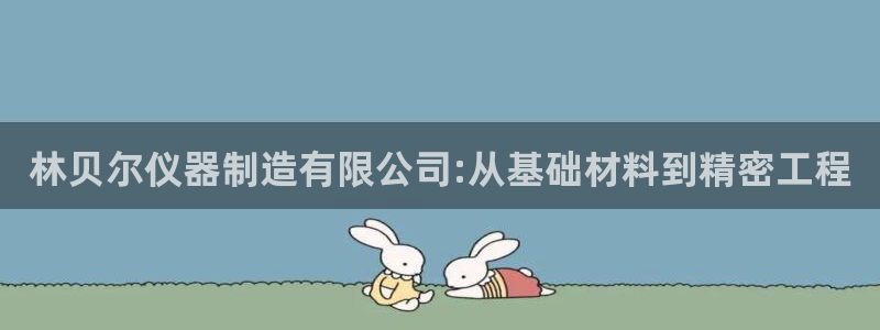 新功夫之王之娱乐门徒：林贝尔仪器制造有限公司:从基础材料到精