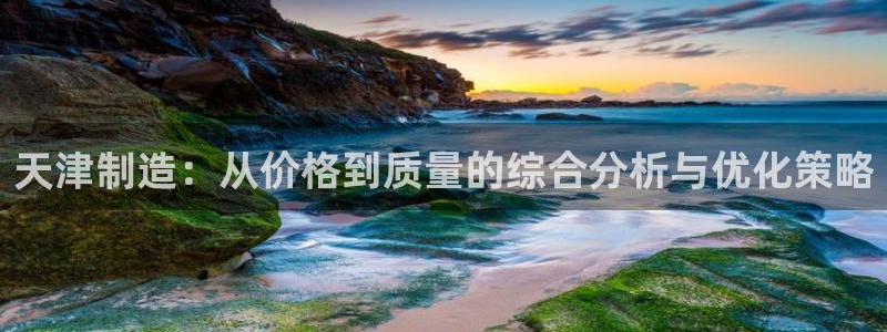 门徒娱乐挂机：天津制造：从价格到质量的综合分析与优化策略