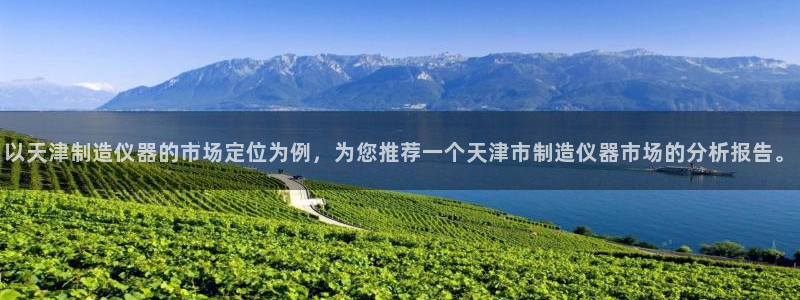 新功夫之王 娱乐门徒：以天津制造仪器的市场定位为例，为您推荐