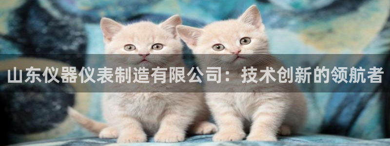 门徒娱乐彩票官网网址：山东仪器仪表制造有限公司：技术创新的领