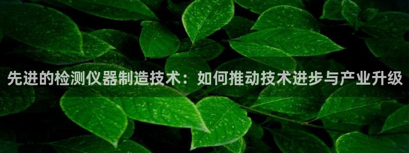 门徒娱乐平台网址是多少：先进的检测仪器制造技术：如何推动技术