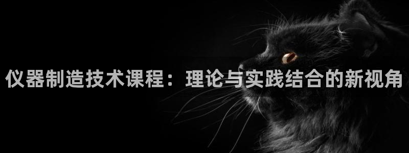 香港之娱乐门徒：仪器制造技术课程：理论与实践结合的新视角