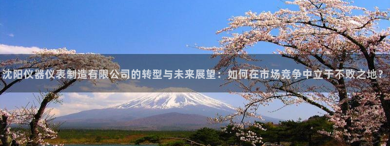 类似娱乐门徒这种的小说：沈阳仪器仪表制造有限公司的转型与未来