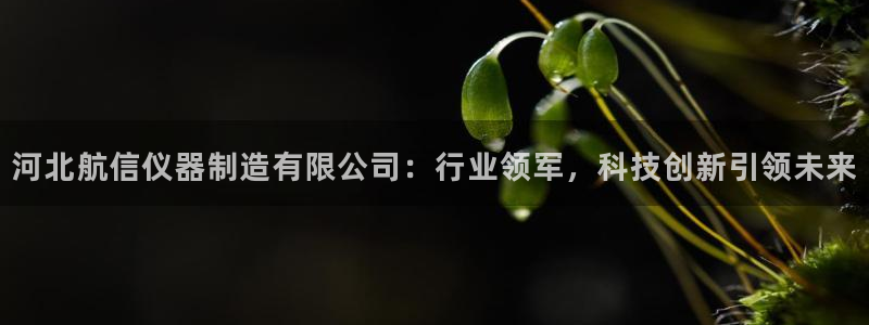 门徒娱乐咋样尼：河北航信仪器制造有限公司：行业领军，科技创新