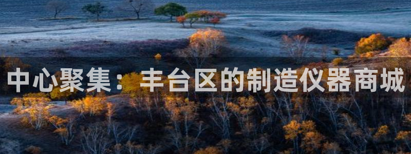 娱乐门徒全文免费阅读：中心聚集：丰台区的制造仪器商城