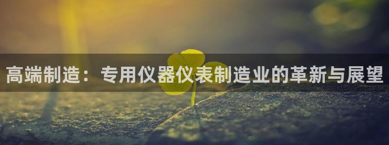 门徒娱乐怎么代理游戏：高端制造：专用仪器仪表制造业的革新与展