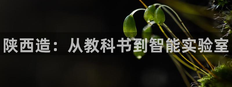 门徒娱乐注册地址查询：陕西造：从教科书到智能实验室