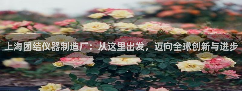 门徒娱乐平台登录地址：上海团结仪器制造厂：从这里出发，迈向全