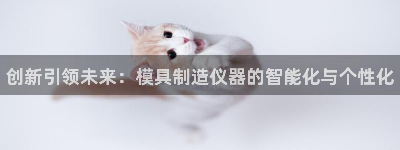 门徒娱乐盈利方法分析：创新引领未来：模具制造仪器的智能化与个