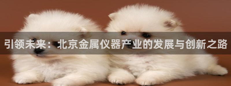 门徒娱乐被黑：引领未来：北京金属仪器产业的发展与创新之路