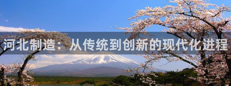 门徒彩票娱乐官方网站：河北制造：从传统到创新的现代化进程