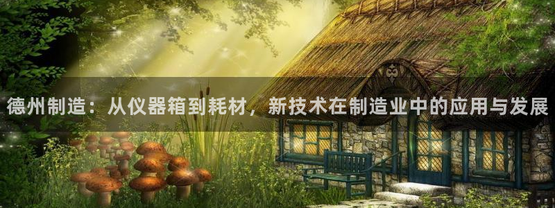 门徒娱乐勺67五壹叁八：德州制造：从仪器箱到耗材，新技术在制