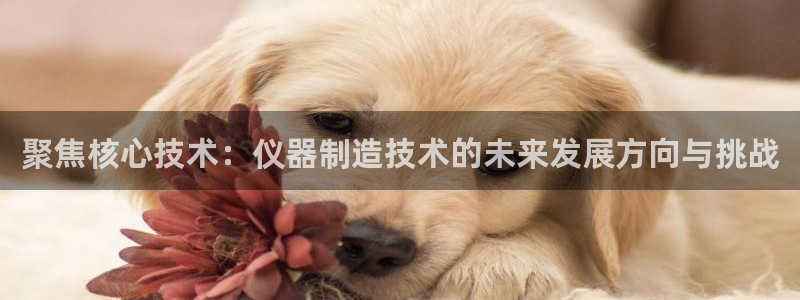 门徒娱乐注册登入：聚焦核心技术：仪器制造技术的未来发展方向与