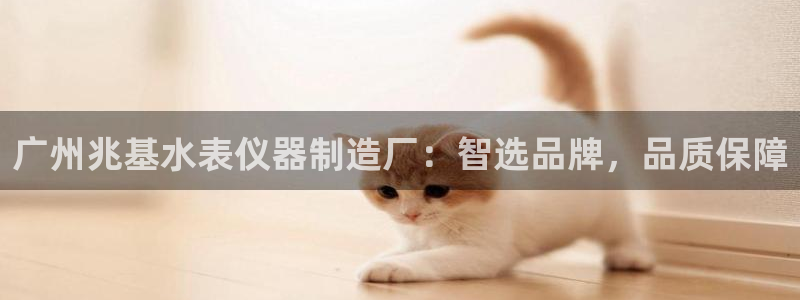 门徒娱乐跑路了吗最新消息：广州兆基水表仪器制造厂：智选品牌，