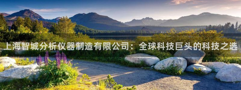 门徒娱乐后5指尖：上海智城分析仪器制造有限公司：全球科技巨头