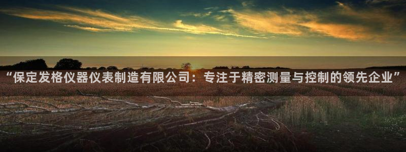 门徒娱乐自动投注：“保定发格仪器仪表制造有限公司：专注于精密