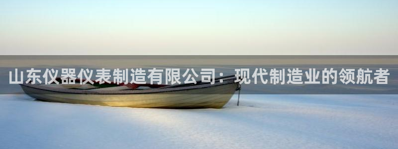 娱乐门徒qidian：山东仪器仪表制造有限公司：现代制造业的