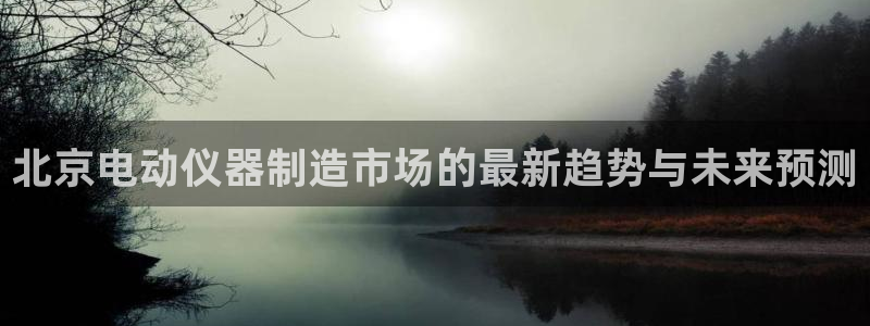 门徒娱乐最狠的三个平台排名：北京电动仪器制造市场的最新趋势与