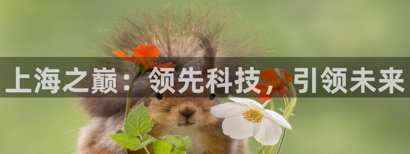 门徒娱乐平台注册登录：上海之巅：领先科技，引领未来