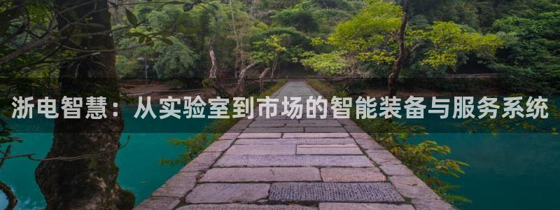 门徒娱乐盈利方法：浙电智慧：从实验室到市场的智能装备与服务系