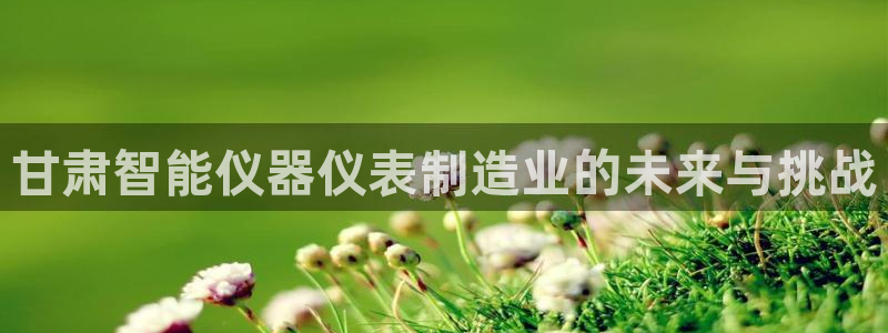 门徒娱乐注册在唐老鸭779O3：甘肃智能仪器仪表制造业的未来