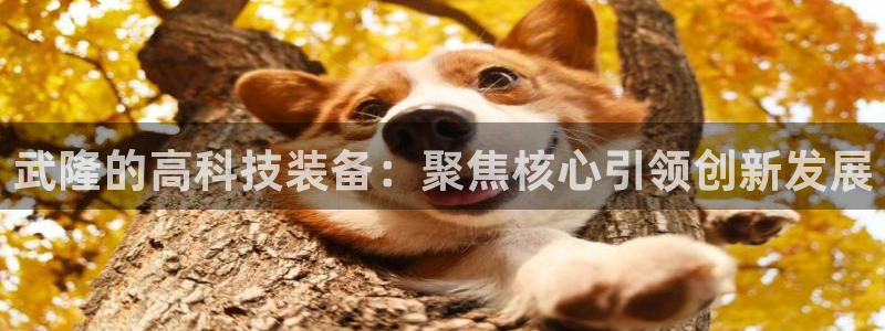 门徒娱乐公司：武隆的高科技装备：聚焦核心引领创新发展