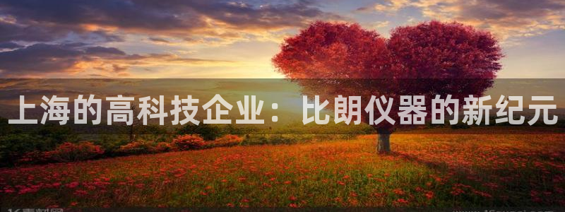 门徒娱乐里eth靠谱不：上海的高科技企业：比朗仪器的新纪元