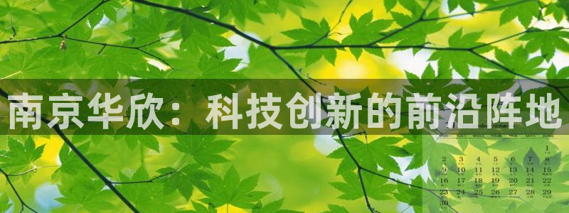 门徒娱乐网站：南京华欣：科技创新的前沿阵地