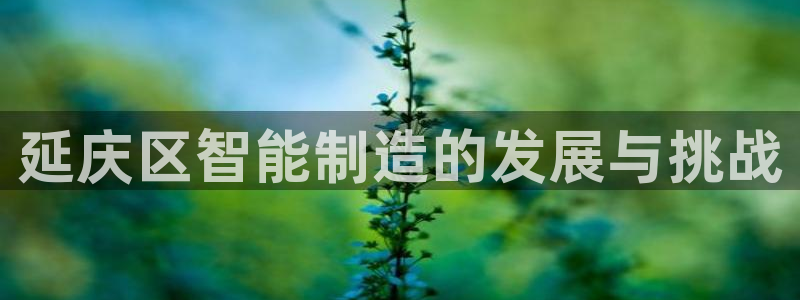 门徒娱乐招商会判官333OO：延庆区智能制造的发展与挑战