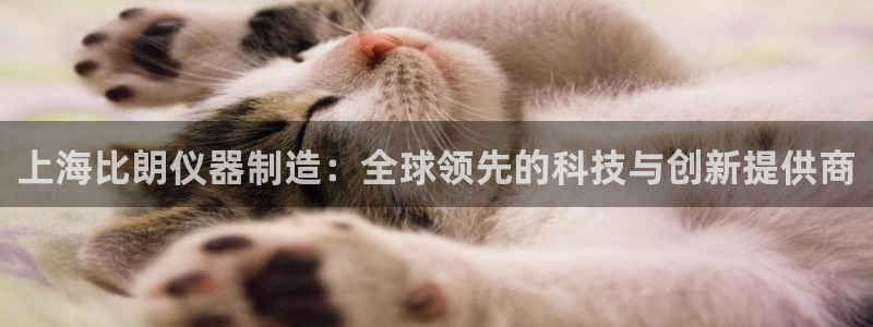 门徒娱乐怎么注册：上海比朗仪器制造：全球领先的科技与创新提供