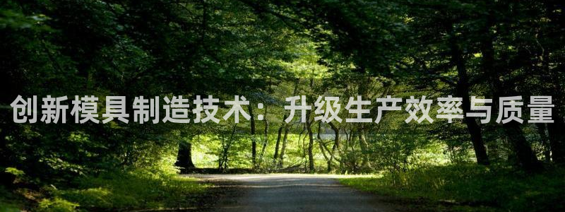 门徒娱乐是怎么赚钱的呀：创新模具制造技术：升级生产效率与质量