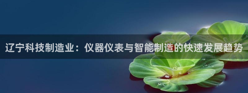 门徒娱乐公司介绍：辽宁科技制造业：仪器仪表与智能制造的快速发