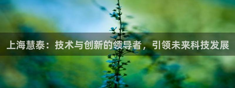 东莞门徒娱乐：上海慧泰：技术与创新的领导者，引领未来科技发展