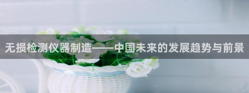 门徒2娱乐：无损检测仪器制造——中国未来的发展趋势与前景