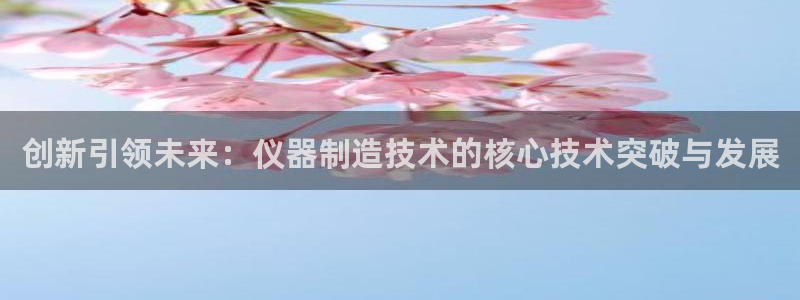 门徒娱乐黑：创新引领未来：仪器制造技术的核心技术突破与发展