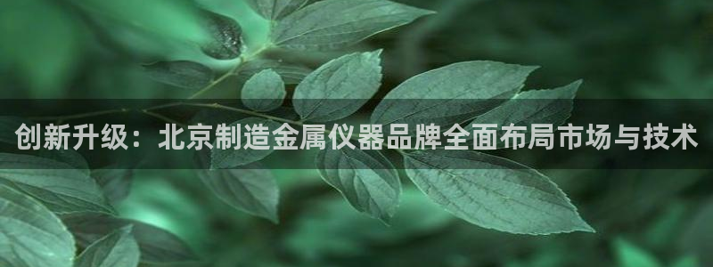 门徒娱乐团队介绍文案：创新升级：北京制造金属仪器品牌全面布局