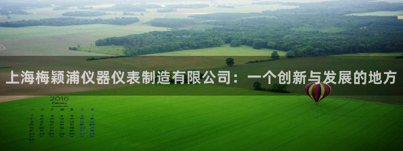 门徒娱乐月5指尖：上海梅颖浦仪器仪表制造有限公司：一个创新与