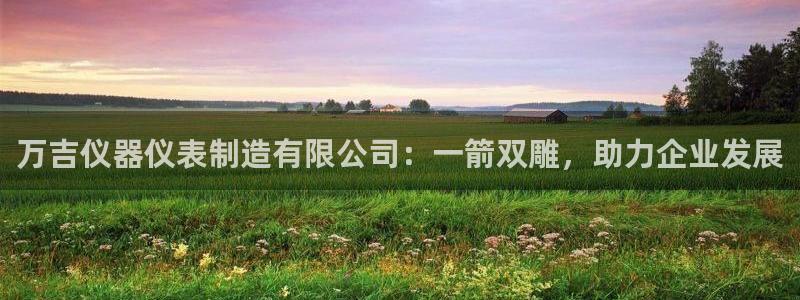 门徒娱乐的优势和劣势：万吉仪器仪表制造有限公司：一箭双雕，助