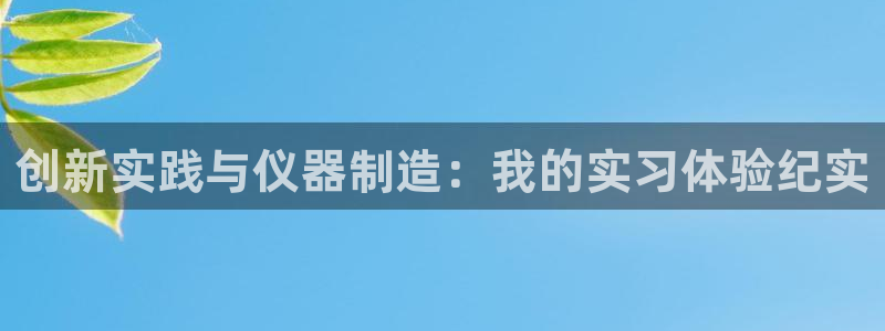 门徒娱乐怎么提不了款：创新实践与仪器制造：我的实习体验纪实