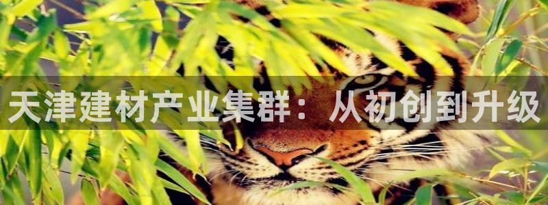 门徒娱乐怎么挂机：天津建材产业集群：从初创到升级